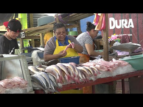 Pargo Rojo, uno los mariscos más buscados mantiene su precio en el mercado de Managua