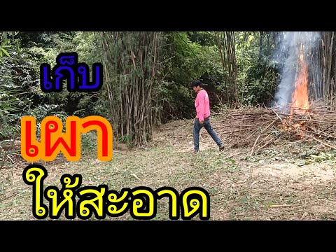 พัฒนาต่อไป พัฒนาต่อไป