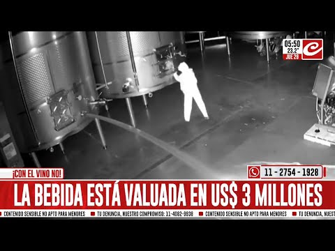 España: un delincuente derrochó 60.000 litros de vino valuados en 2,5 millones de euros