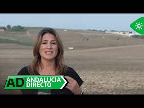 Andalucía Directo | Lunes 24 de octubre