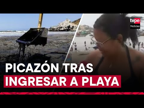 Derrame de petróleo: bañista presentó afecciones tras ingresar a playa no apta