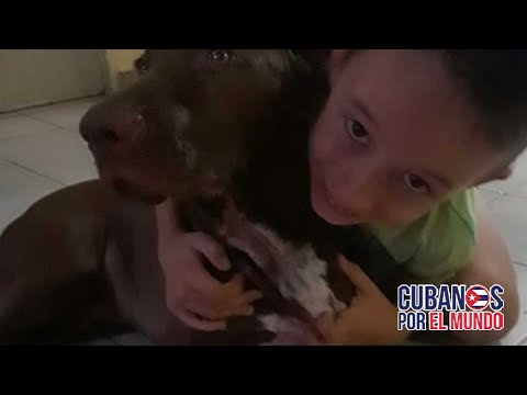 Balseros cubanos piden a los Guardas Costas de EEUU que le devuelvan su perro balsero