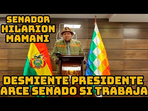SENADOR HILARION MAMANI CUESTIONO PRESIDENTE ARCE POR CAMPAÑA CONTRA LA CAMARA SENADORES