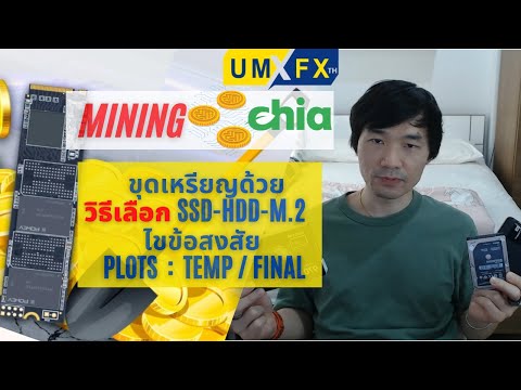 ขุดเหรียญ-Chia-วิธีเลือก-HDD-S ขุดเหรียญ-Chia-วิธีเลือก-HDD-S