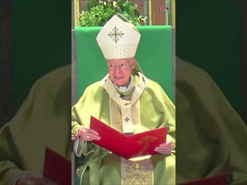 Cardenal Carlos Aguiar Retes. La humanidad esta llamada a integrar la familia de Dios #homilia