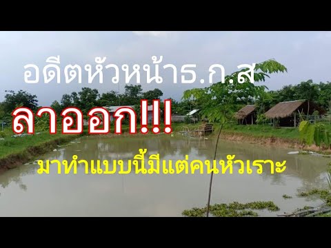 ผมไม่มีหรอกโคกหนองนา-ผมมีแต่แค ผมไม่มีหรอกโคกหนองนา-ผมมีแต่แค