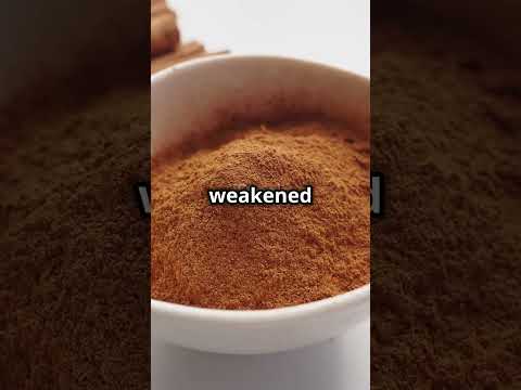Thumbnail Video Youtube
