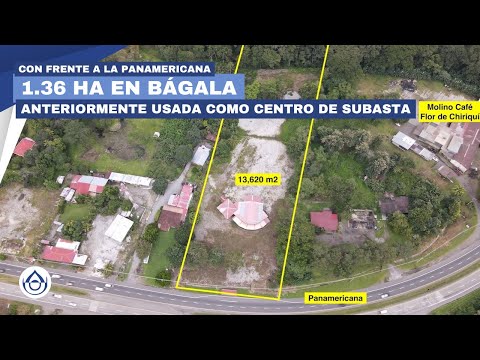 INVIERTE 1.36 HA con frente a la Panamericana. Bágala, entre David y Bugaba, Chiriquí. 6981.5000