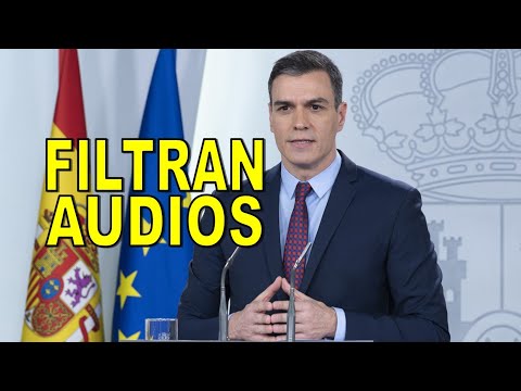 Filtran audios de Pedro Sánchez en declaración ante el juez Peinado horizonal