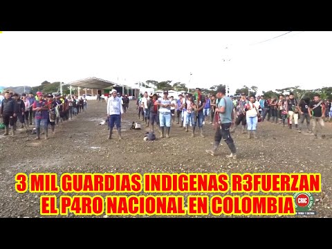 COLOMBIA MÁS DE 3000 MIL GU4RDIAS INDIGENAS DARÁN R3SGUARDO LAS MERCEDES COMO APOYO AL P4RO..