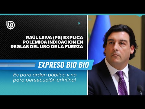 Raúl Leiva (PS) explica polémica indicación en Reglas del Uso de la Fuerza