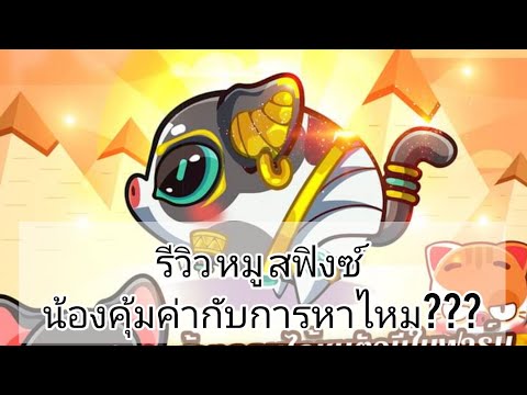 รีวิว-หมู-สฟิงซ์-น้องคุ้มค่ากั รีวิว-หมู-สฟิงซ์-น้องคุ้มค่ากั