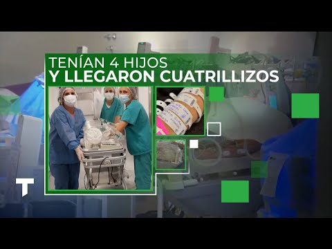 TENÍAN CUATRO HIJOS Y LLEGARON CUATRILLIZOS: las chances para que suceda es 1 en 700 mil embarazos