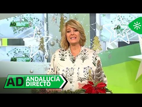 Andalucía Directo | Viernes 16 de diciembre
