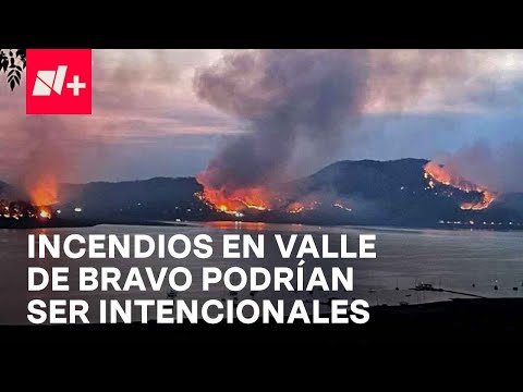 Incendios en Valle de Bravo habrían sido intencionales; piden apoyo para brigadistas - En Punto