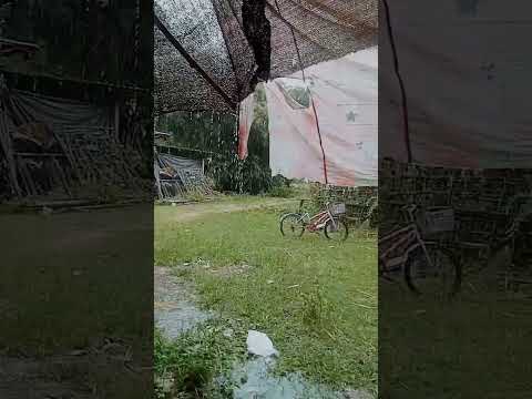 ฝนตก