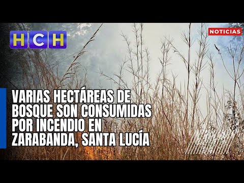 Varias hectáreas de bosque son consumidas por incendio en Zarabanda, Santa Lucía