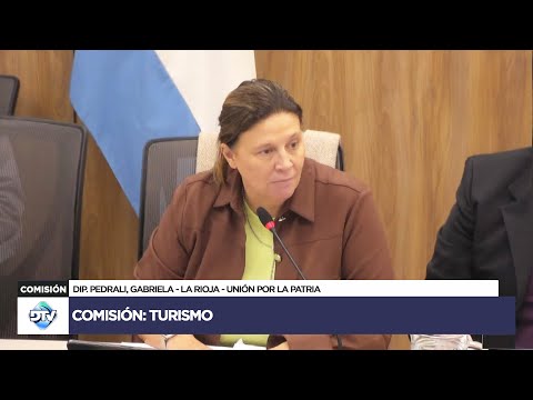 COMISIÓN EN VIVO: TURISMO - 3 de julio de 2024 - Diputados Argentina