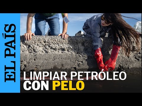 CHILE | El proyecto para limpiar el agua usando cabello | EL PAÍS