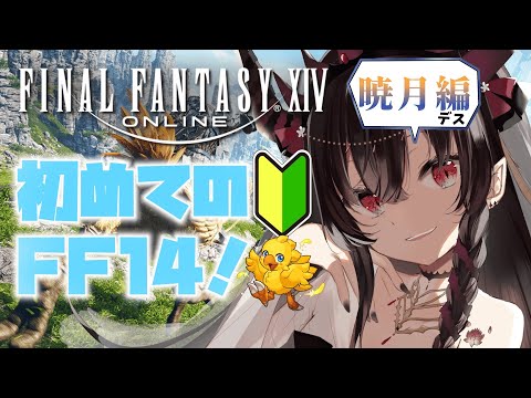 【FF14】これから宇宙に飛ばされると思うとドキドキしてきた【鉄穴森叫子】
