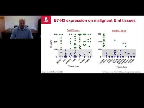 Route of 41BB/41BBL costimulation determines effector function of B7-H3-CAR.CD28ζ T cells