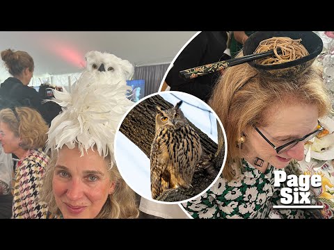 Socialites unofficially honor Flaco the owl at Central Park’s ‘hat lunch’ wearing fancy fascinators