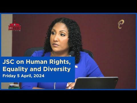 19th Meeting - JSC Human Rights, Equality and Diversity - April 3, 2024 - Child Labour