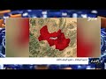 تحرير البيضاء .. تحرير اليمن كاملاً
