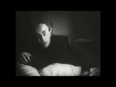 STEFAN BAUER Concert Tickets - 2026 Tour Dates