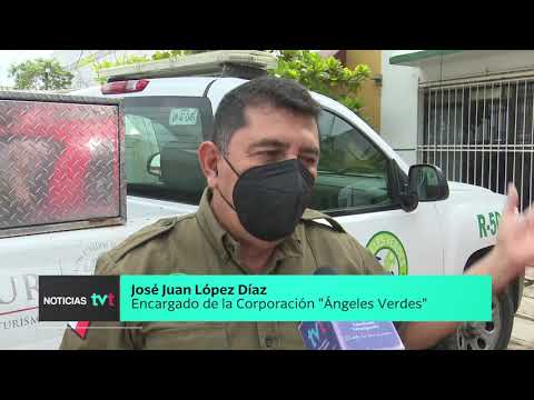 Auxilian Ángeles Verdes a turistas que visitan Tabasco