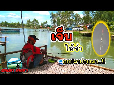 เจ็บเท่าไรไม่เคยจำ-ตกชิงหลิวบ่ เจ็บเท่าไรไม่เคยจำ-ตกชิงหลิวบ่