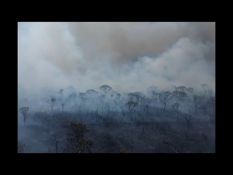 Smoke rises from fire in environmentally protected area of Brasilia National Park