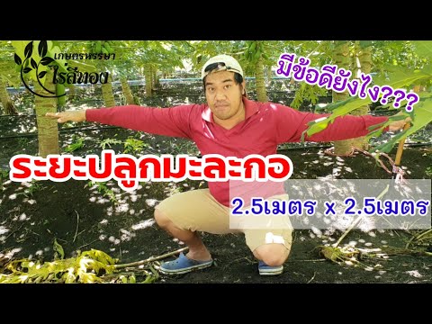 แบบนี้นี่เอง!!-เหตุผลที่ต้องปล แบบนี้นี่เอง!!-เหตุผลที่ต้องปล