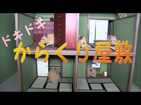 ハムスター専用からくり屋敷(Ninja mansion )