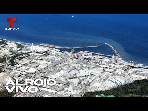 EN VIVO: Imágenes de la central nuclear de Fukushima Daiichi I Al Rojo Vivo