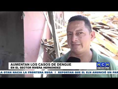 Dengue no da tregua y ataca a pobladores del sector Rivera Hernández