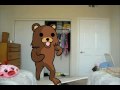 Video: Pedo Bear !!! - Jis pradeda veikti.