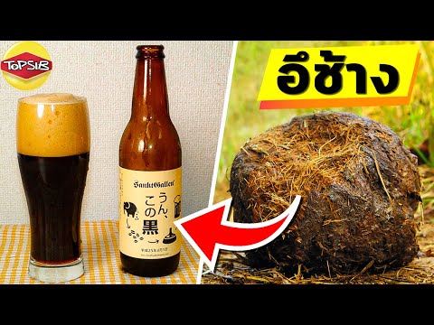 เครื่องดื่มสุดแปลกรสชาติล้ำที่ เครื่องดื่มสุดแปลกรสชาติล้ำที่
