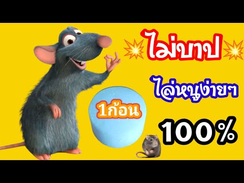 💥สูตรไล่หนู-กำจัดหนูง่ายๆ-ใช้เ 💥สูตรไล่หนู-กำจัดหนูง่ายๆ-ใช้เ