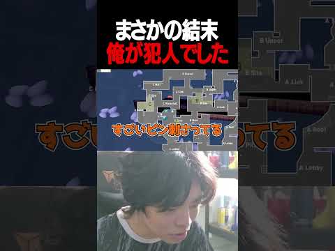 誰だよ俺を悪者にしたのはｗｗｗｗｗ【ヴァロラント / VALORANT】