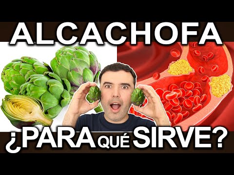 Alcachofa ¿Para Qué Sirve? - Beneficios Y Propiedades De La Alcachofa Para Tu Salud Y Belleza