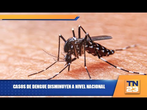 Casos de dengue disminuyen a nivel nacional