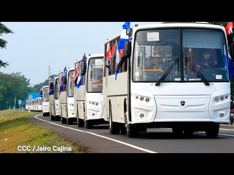 Llega a Nicaragua segunda flota de buses rusos para modernizar el transporte público