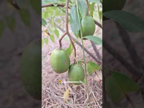 ทุกอย่างเริ่มต้นจากการลงมือทำ