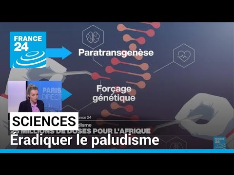 Comment éradiquer le paludisme et les autres maladies vectorielles ? • FRANCE 24