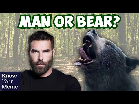 The Hypothetical Question Would You Rather Be Stuck In The Woods With A Man Or Bear? Goes Viral