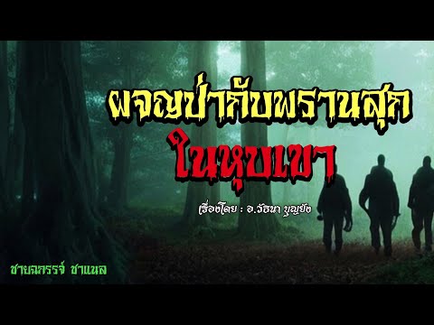 ผจญป่ากับพรานสุก(ในหุบเขา)