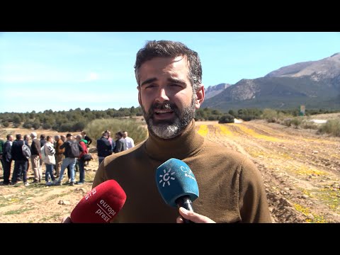 Andalucía anima a Campo a demostrar su independencia