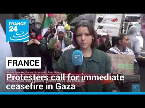 Paris protesters call for immediate ceasefire in Gaza • FRANCE 24 English