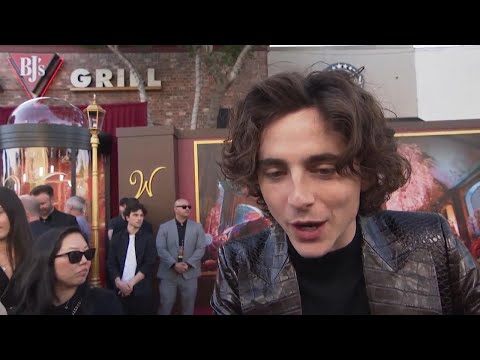 Timothée Chalamet on designing limited edition, 'Wonka'-themed Nike Dunks